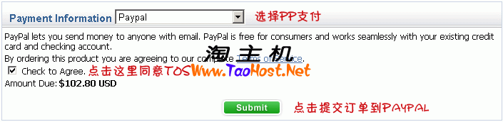 选择PayPal方式支付填表方法