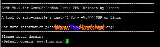 lnmp-install-input-domain.jpg